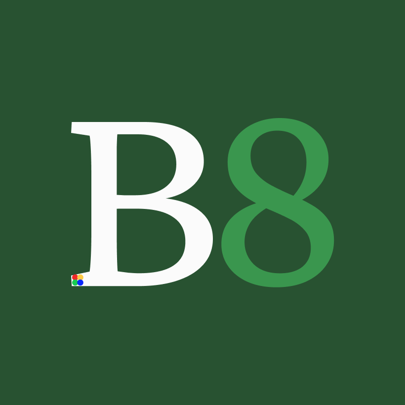 Binfin8 Logo